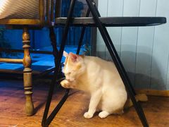 -251#coffee roasters(沿河东路店)