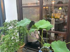 -concerto协奏曲咖啡店