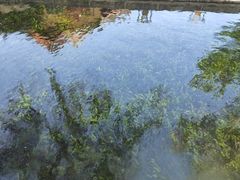 -百脉泉景区