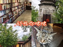 -正阳书局(西四南大街店)