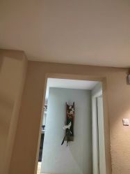 -香秀空间科技抗衰·美容中心
