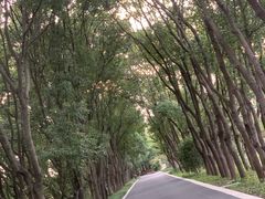 -同里国家湿地公园