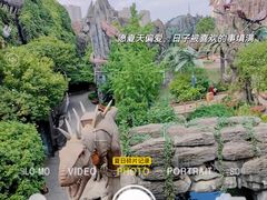 -中华恐龙园