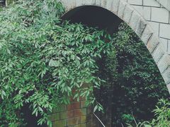 -峨眉山报国寺