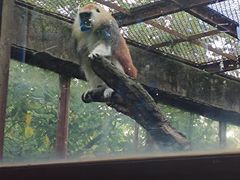 -昆明动物园