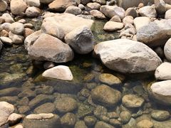-海南霸王岭国家森林公园