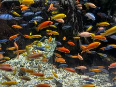 -太平洋海底世界