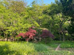 -八大关景区