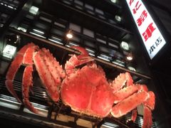 -蟹料理 北海道かに将軍(札幌本店)