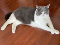 -盡膳口福跷脚牛肉火锅(时代广场店)