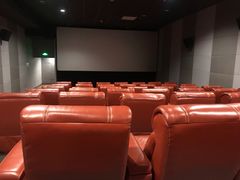 -SFC上影百联影城(八佰伴IMAX店)