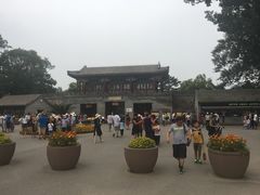 -大清花饺子(山庄店)