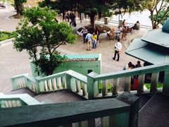 -龙环葡韵住宅式博物馆