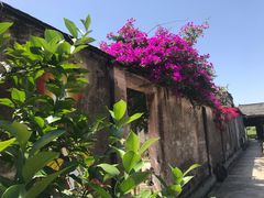 -金谷域澳洲庄园