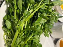 -张凯达·深海石斑鱼潮汕火锅(十五年品牌•虹桥天街店)