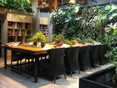 -森味薪火烧•烧鸟居酒屋•日本料理(望京店)