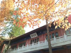 -兴教寺