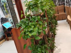 -西山人家·传统苏帮菜·家宴(木渎店)