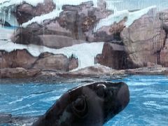 -海合安成都极地海洋公园