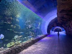 -华夏文旅海洋公园