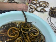 -众彩物流水产市场