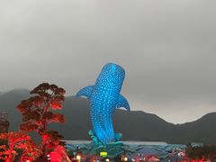 -珠海长隆海洋王国
