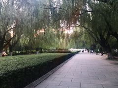 -青城公园