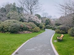 -桃花岛景观公园