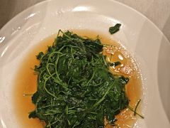 -新吉士·上海菜(浦东LCM置汇旭辉店)