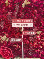 -中国黄金(北京旗舰店)