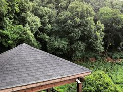 -杭州西湖风景名胜区-满觉陇四眼井