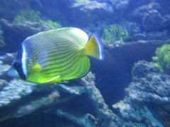 android_upload_pic-青岛极地海洋世界-停车场