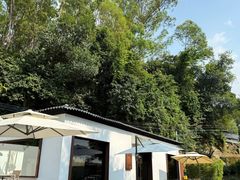 -火炉山森林公园