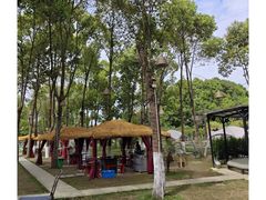 -洪湖家庭农场·团建·露营·会议