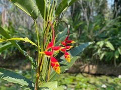 -西双版纳傣族园