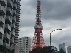 -东京塔海贼王主题公园
