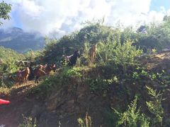 -泸沽湖里格半岛