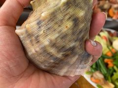 大海螺-阔澜蒸汽海鲜自助
