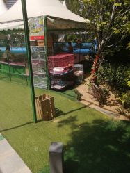 -萌宠亲子动物乐园(槐房万达店)