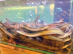 -本炙炭烤·蒲烧活鳗料理店(金沙洲店)