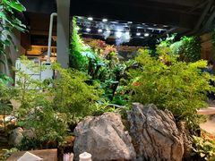 -森味薪火烧•烧鸟居酒屋•日本料理(望京店)