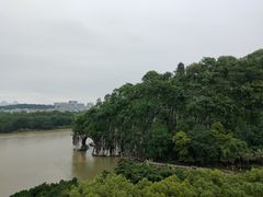 -璟象酒店-爱丽坊景观餐厅