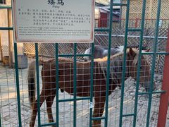 -有喜胶东小馆(太申祥和店)