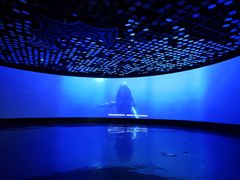 -同济大学四平路校区深海探索馆