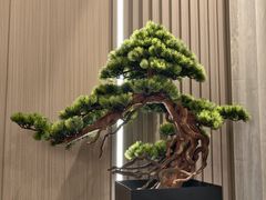 -围龙屋客家食府(福田店)