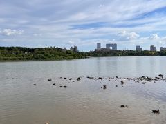 -海珠湖公园