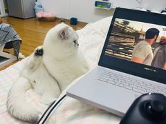 -关爱动物医院·心脏·中兽医·异宠(金牛路分院)