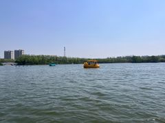 -大兴滨河森林公园