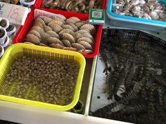 水产区-南沙十九涌渔人码头-南门