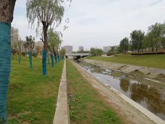 -中南·世纪雅苑